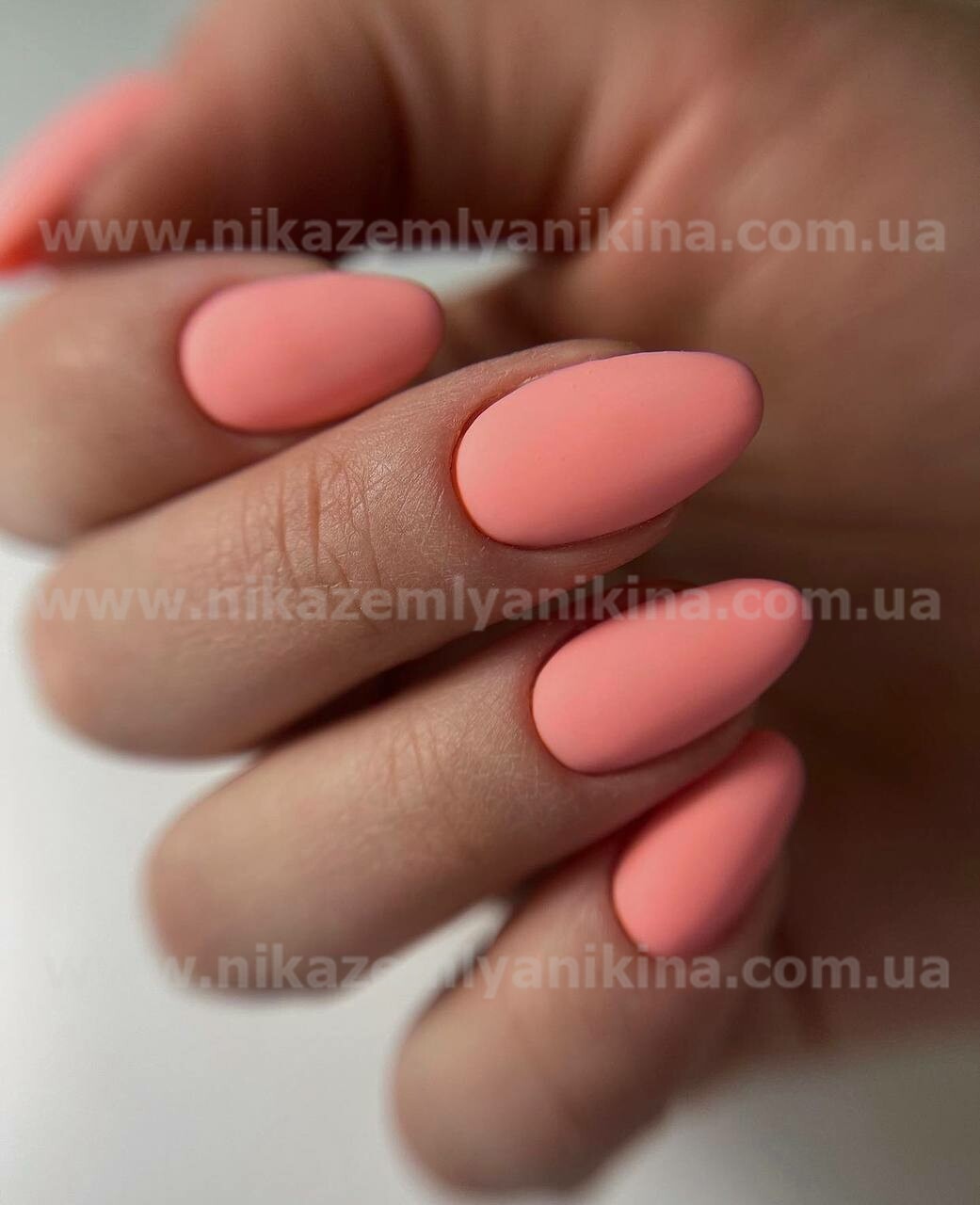 Гель лак N.Z. the gel polish 24, 6 мл
