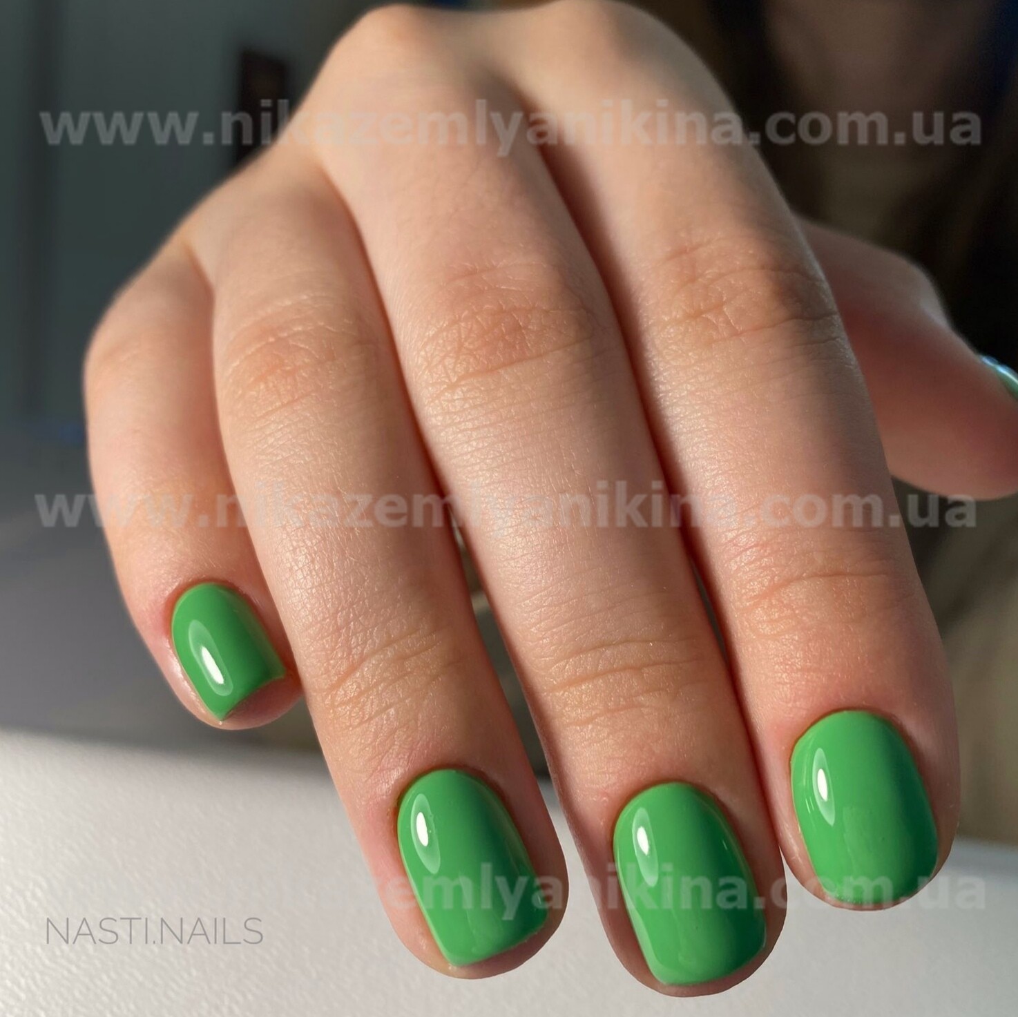 Гель лак N.Z. the gel polish 33, 6 мл