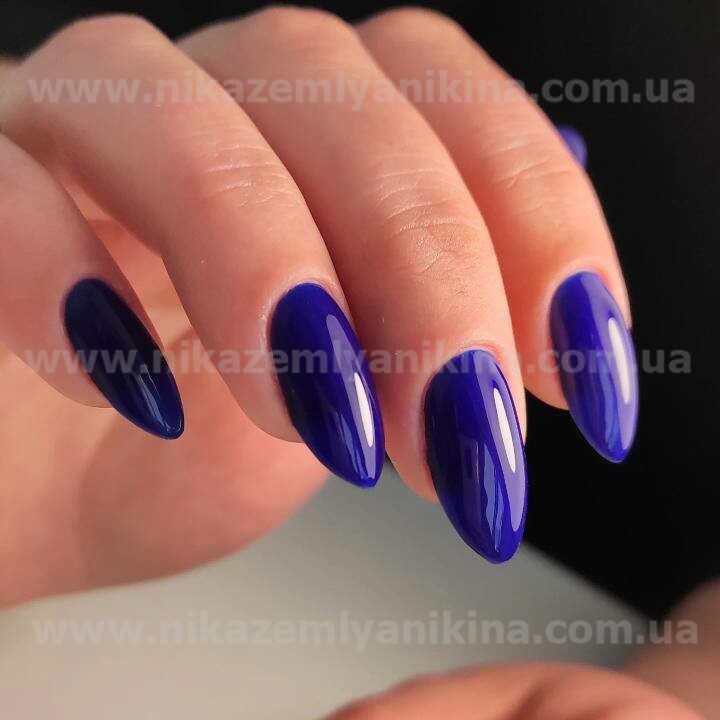 Гель лак N.Z. the gel polish 66, 6мл