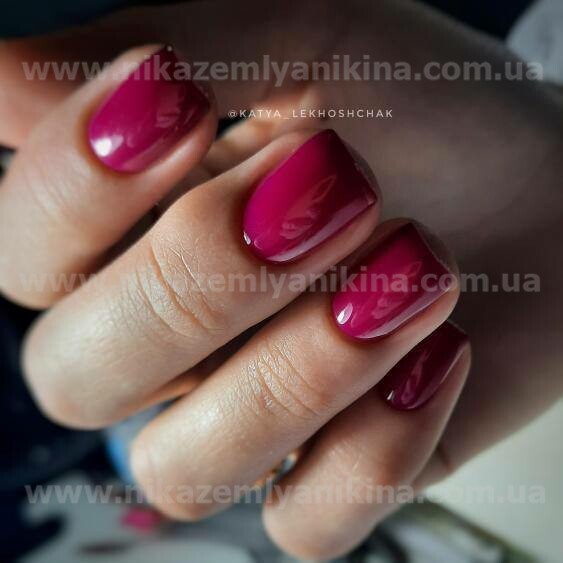 Гель лак N.Z. the gel polish 49, 6мл
