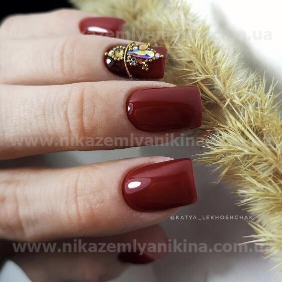 Гель лак N.Z. the gel polish 48, 6мл