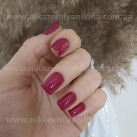 Гель лак N.Z. the gel polish 49, 6мл