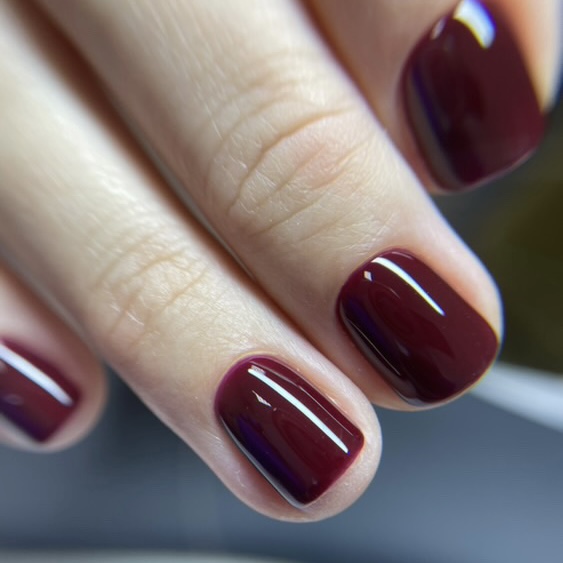 Гель лак N.Z. the gel polish 61, 6мл