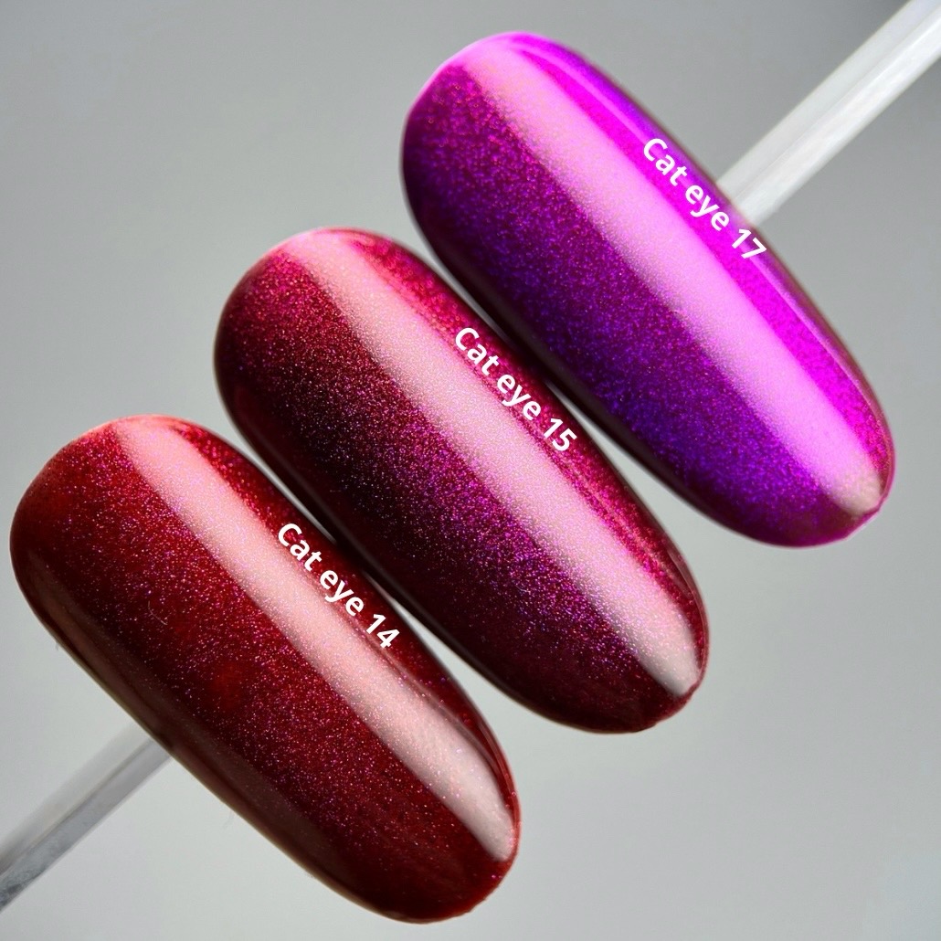 Гель-лак Premium Gel Polish Cat eye Nika Zemlyanikina 14 , 10 мл